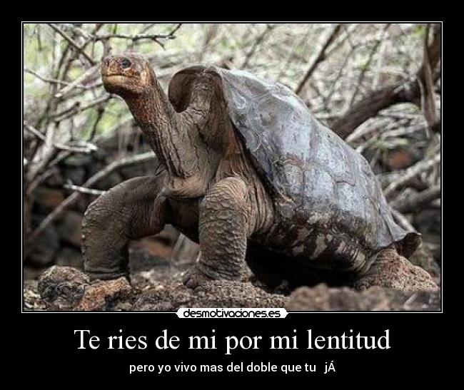 carteles ries desmotivaciones