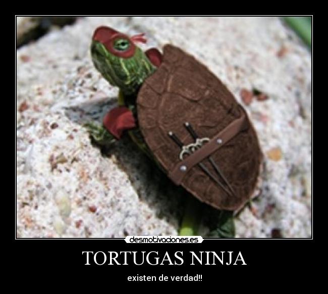 carteles tags desmotivaciones