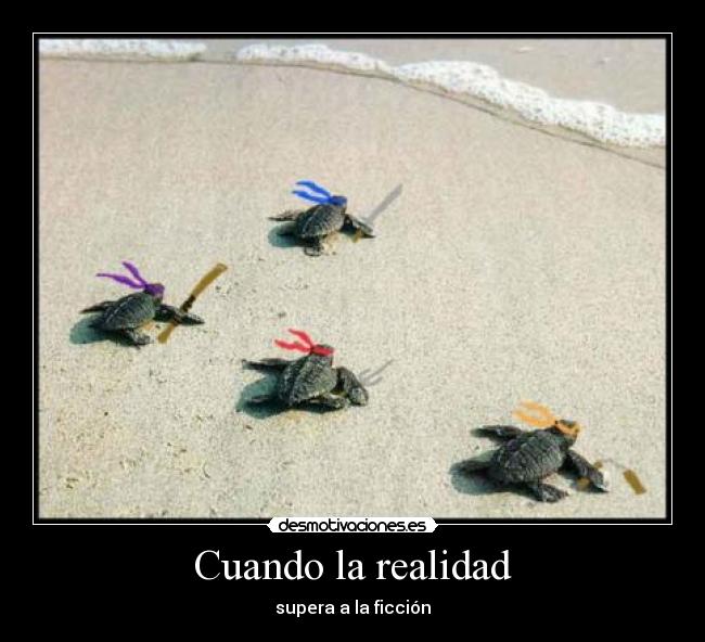 Cuando la realidad -