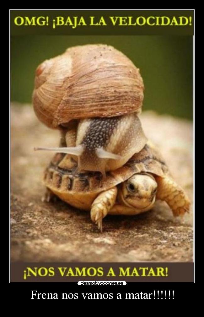 Frena nos vamos a matar!!!!!! - 