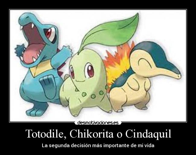 Totodile, Chikorita o Cindaquil - 