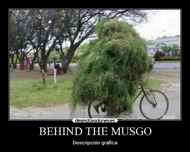 BEHIND THE MUSGO -