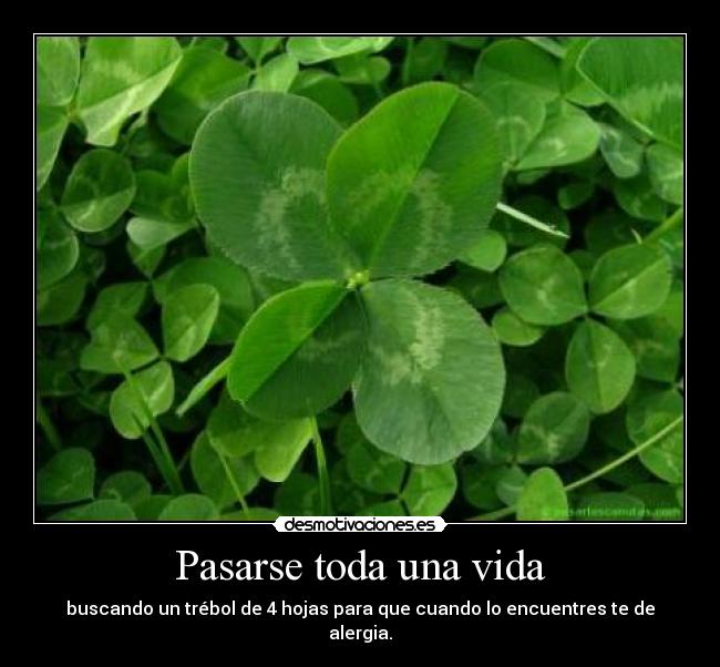 Pasarse toda una vida - buscando un trébol de 4 hojas para que cuando lo encuentres te de alergia.