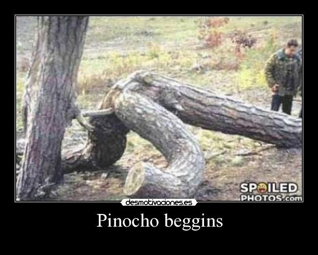 Pinocho beggins -