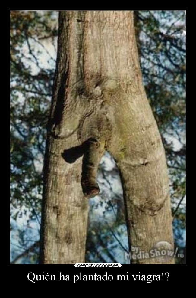 Quién ha plantado mi viagra!? -