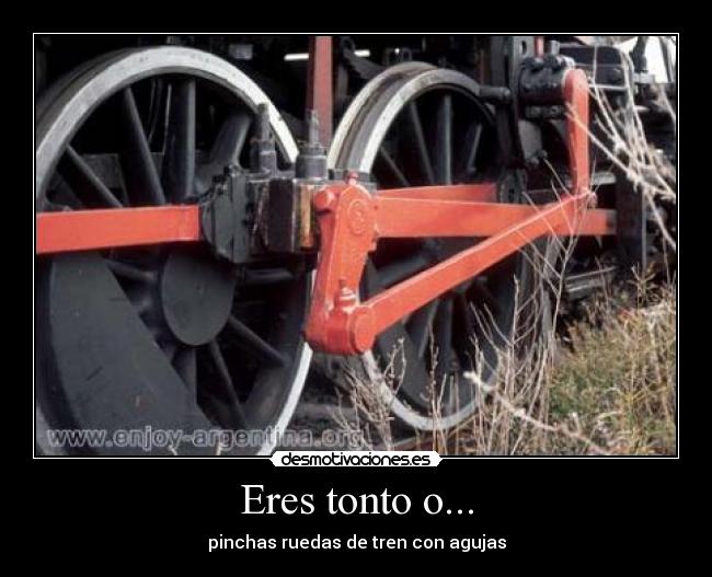 Eres tonto o... - 