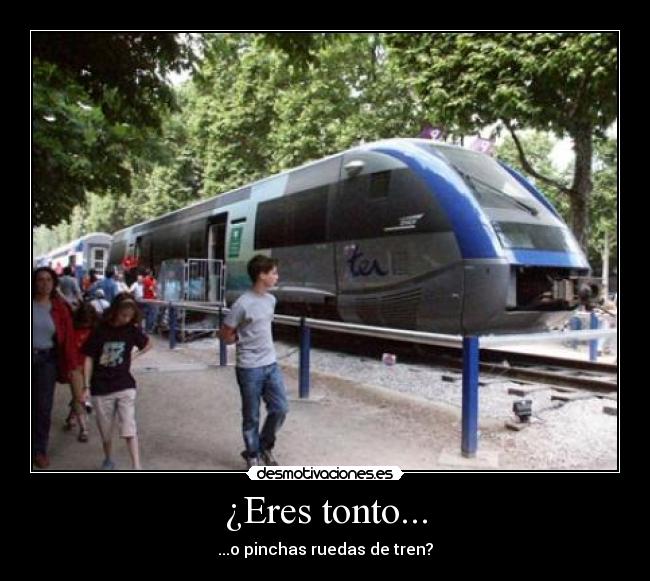 ¿Eres tonto... - 