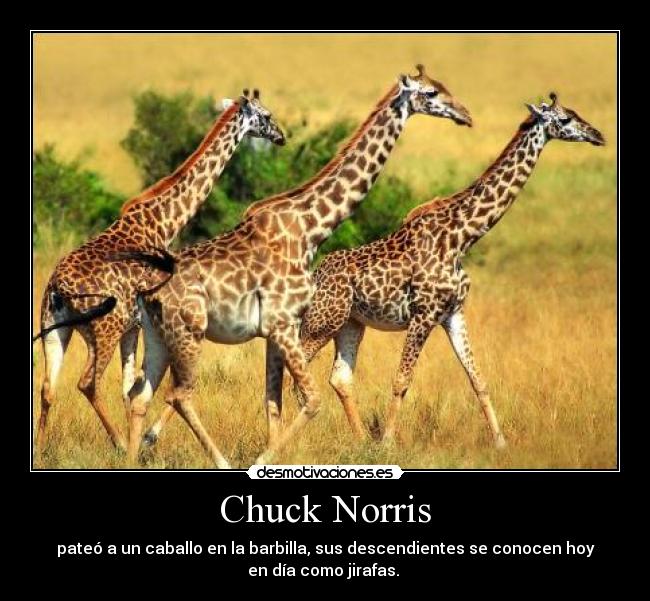 Chuck Norris -