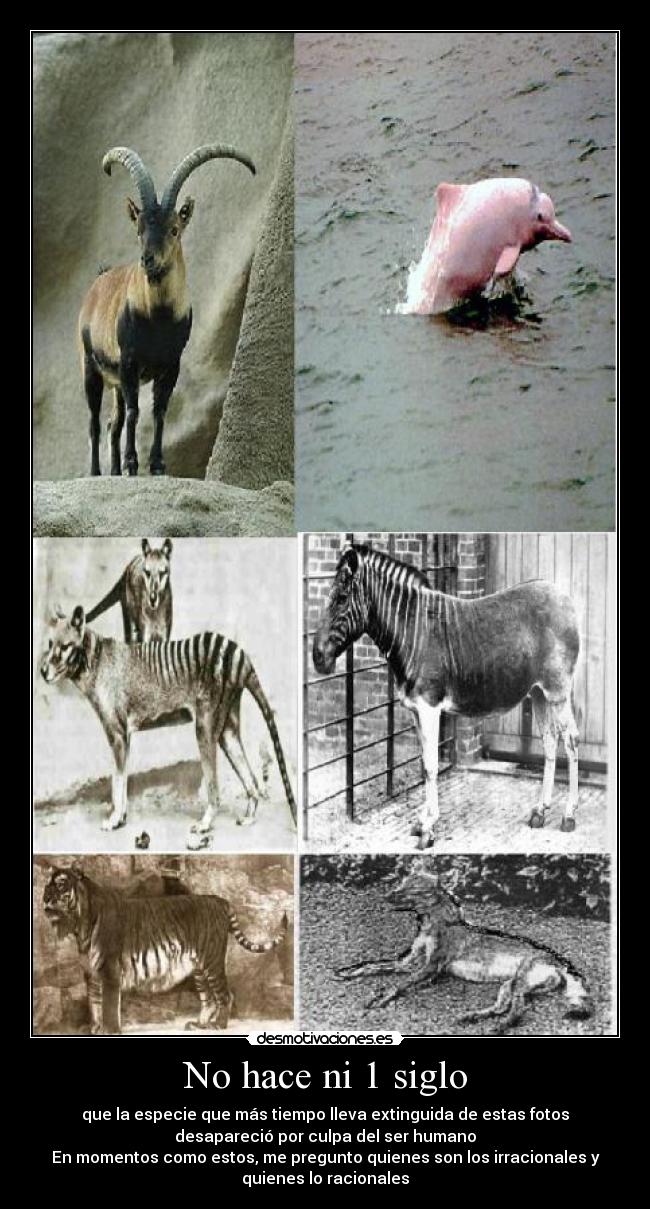 No hace ni 1 siglo -