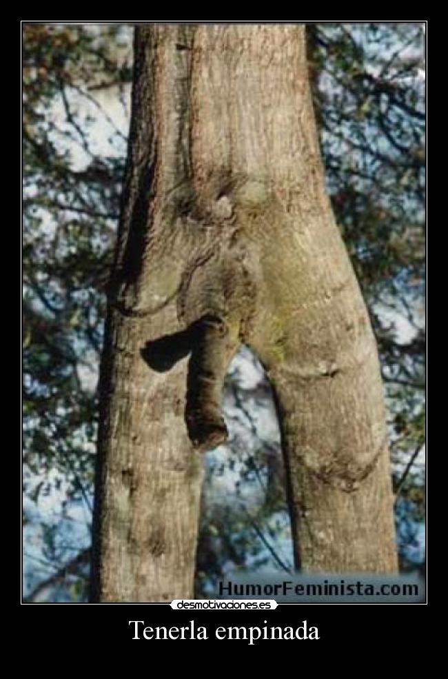Tenerla empinada -
