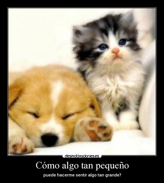 Cómo algo tan pequeño -