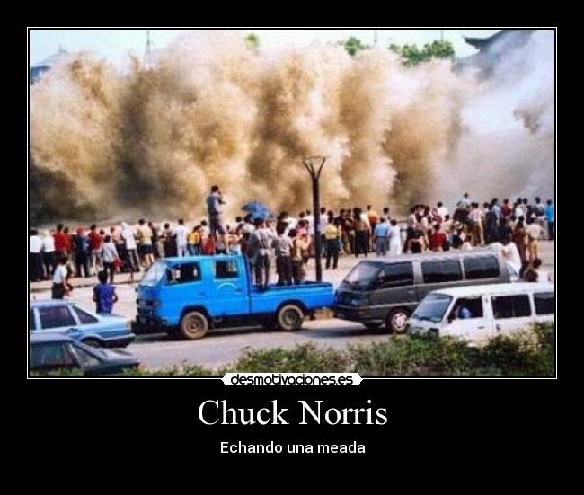 carteles ni_kita desmotivaciones