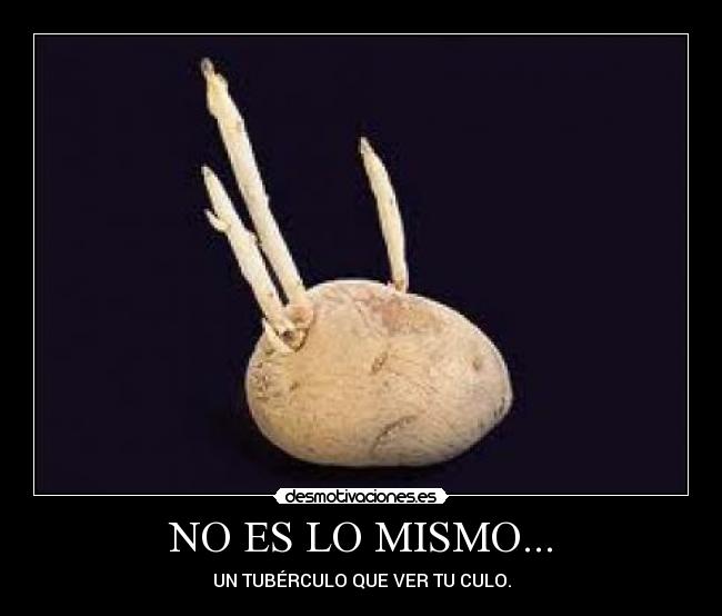NO ES LO MISMO... -