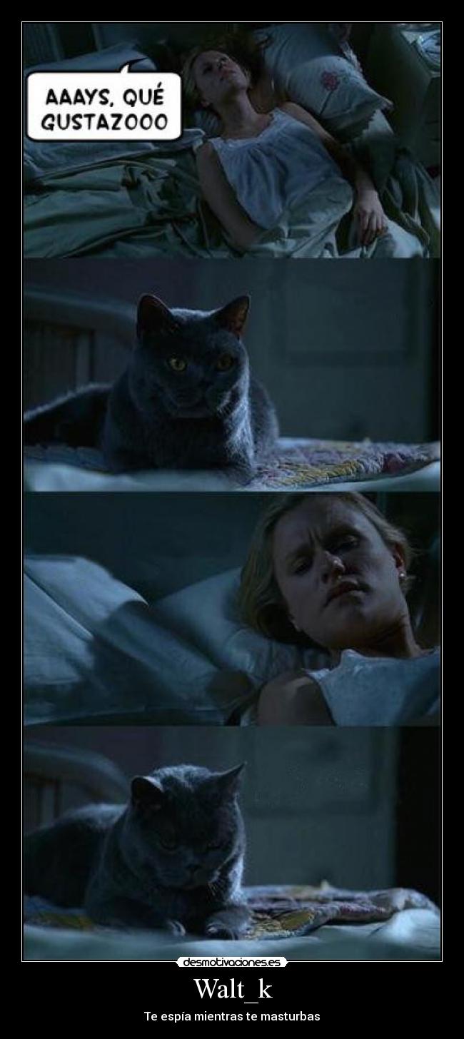 Walt_k - Te espía mientras te masturbas