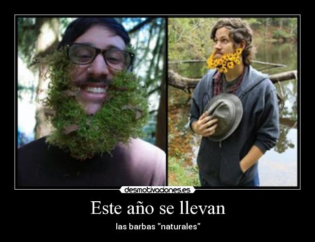 Este año se llevan - 