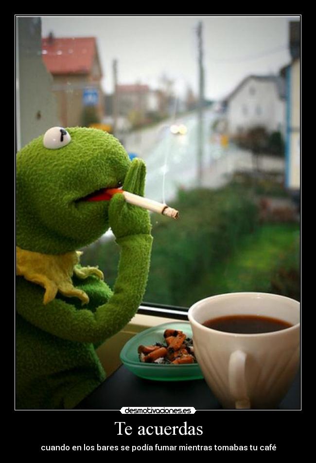 Te acuerdas - cuando en los bares se podía fumar mientras tomabas tu café