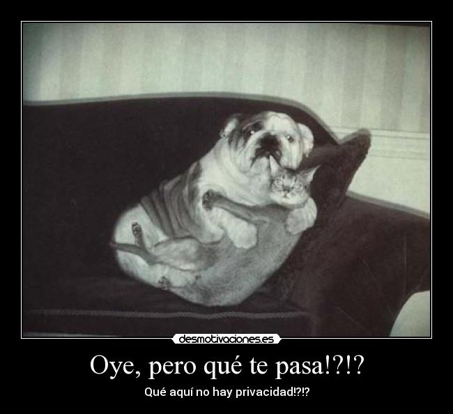 Oye, pero qué te pasa!?!? -