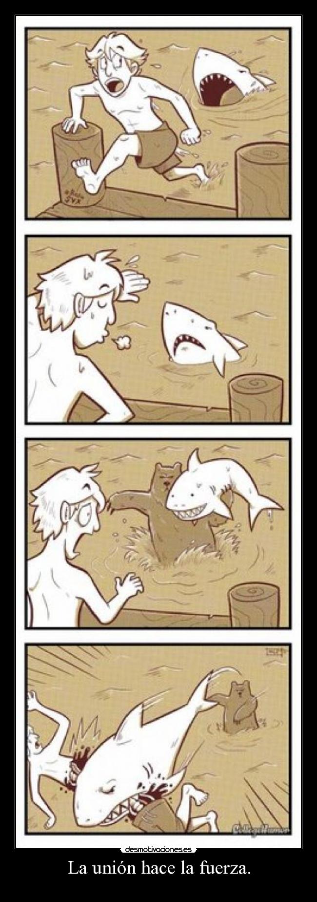 La unión hace la fuerza. -