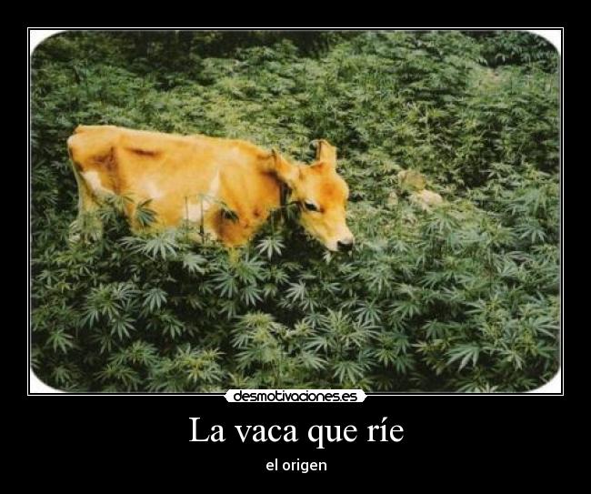 La vaca que ríe - 