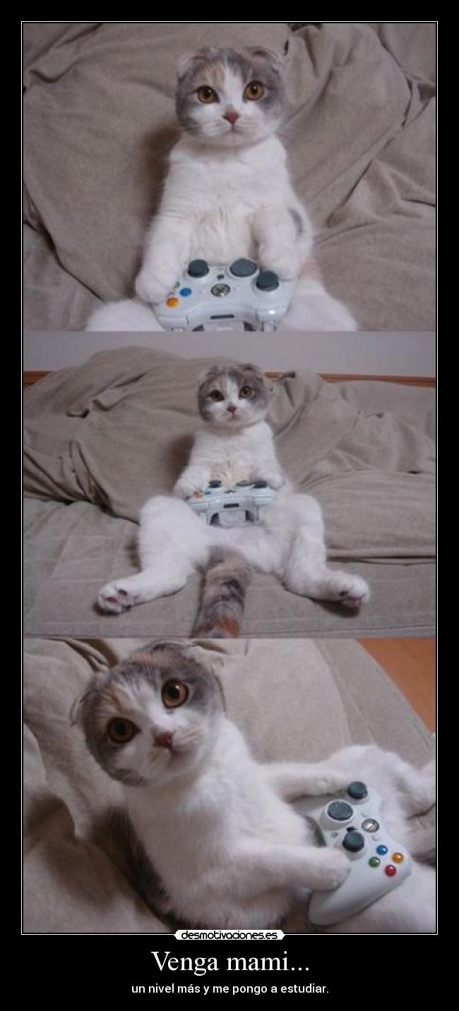 Venga mami... -
