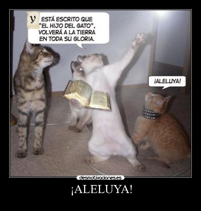¡ALELUYA! - 