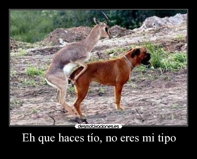 Eh que haces tío, no eres mi tipo - 