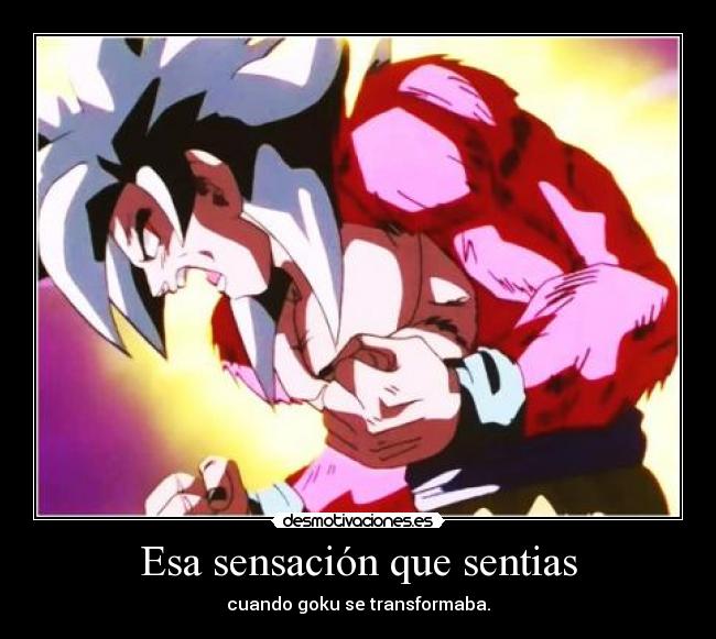 carteles wwwdesmotivacioneses desmotivaciones