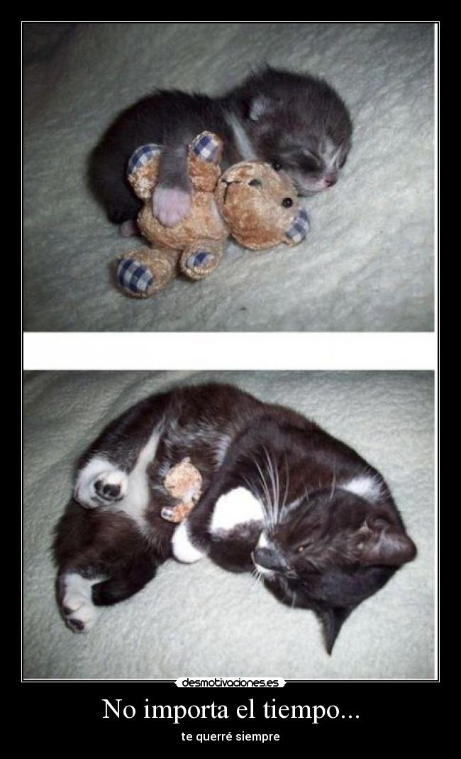 No importa el tiempo... -