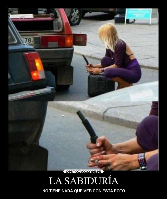 carteles sabiduria desmotivaciones