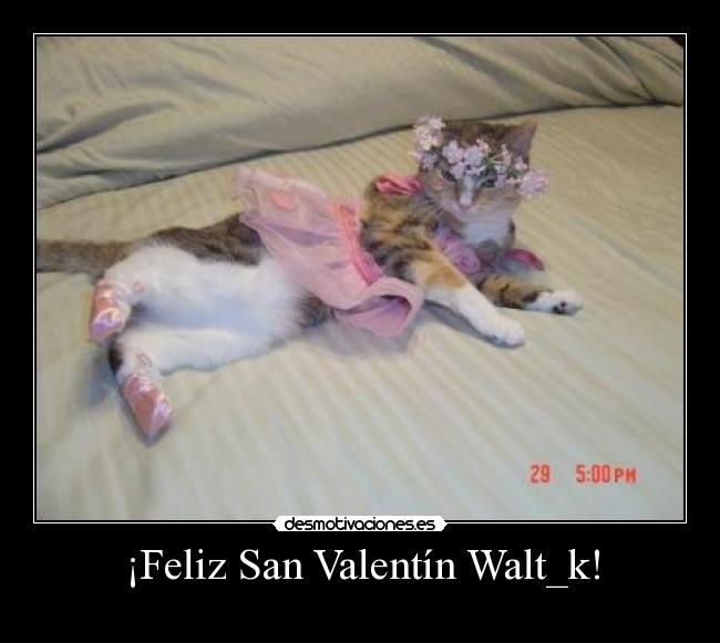 ¡Feliz San Valentín Walt_k! -