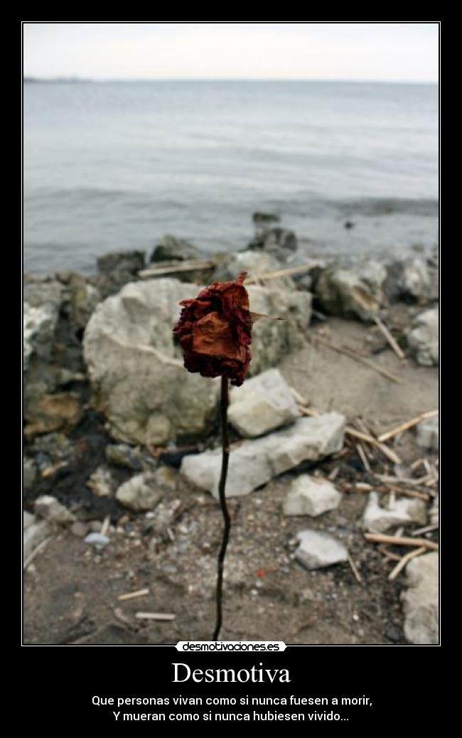 Desmotiva - 