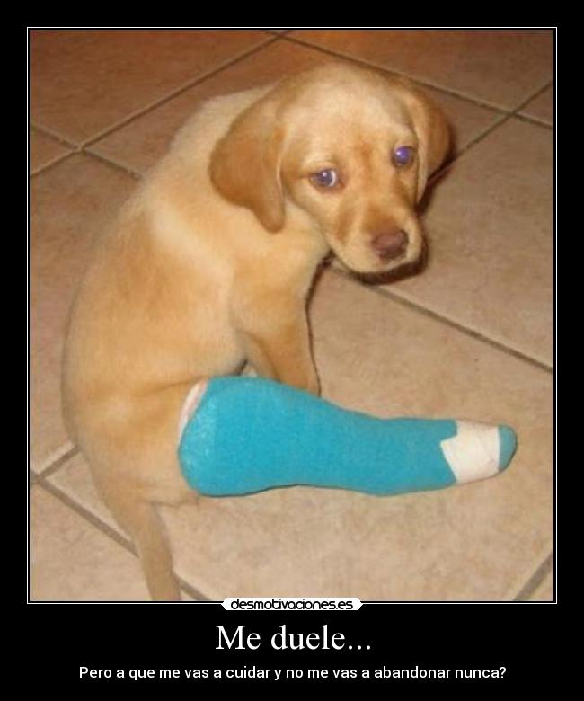 Me duele... - 