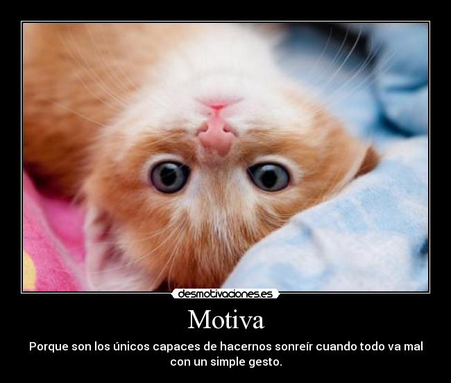 Motiva - Porque son los únicos capaces de hacernos sonreír cuando todo va mal
con un simple gesto.