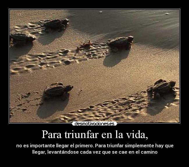 Para triunfar en la vida, - no es importante llegar el primero. Para triunfar simplemente hay que
llegar, levantándose cada vez que se cae en el camino