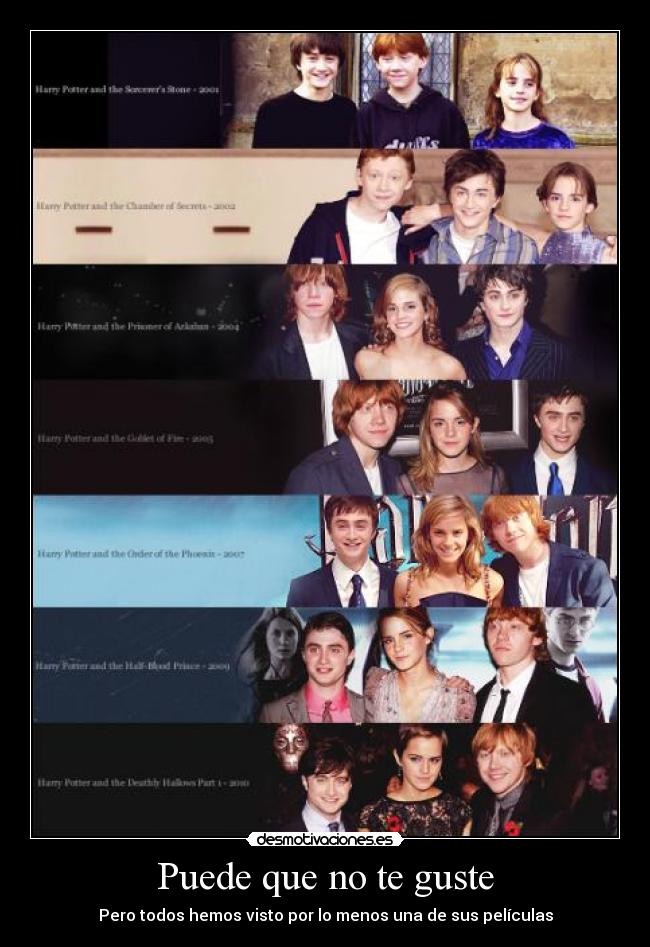 carteles harry potter peliculas mejor desmotivaciones