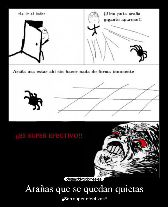 Arañas que se quedan quietas - ¡¡Son super efectivas!!