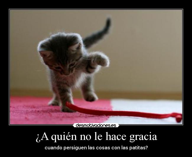 ¿A quién no le hace gracia -