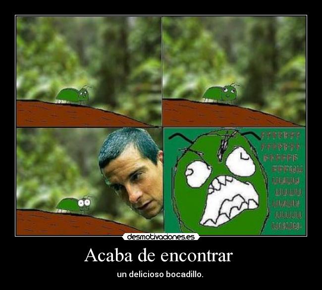 Acaba de encontrar -