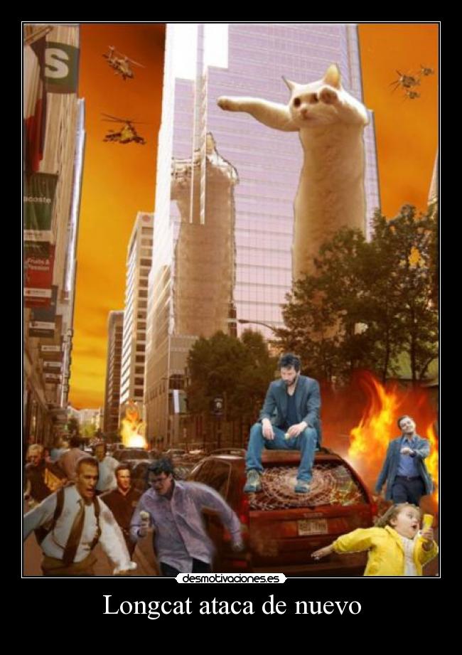 Longcat ataca de nuevo -