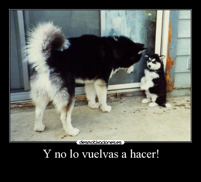 Y no lo vuelvas a hacer! -
