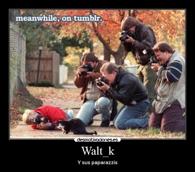Walt_k - Y sus paparazzis