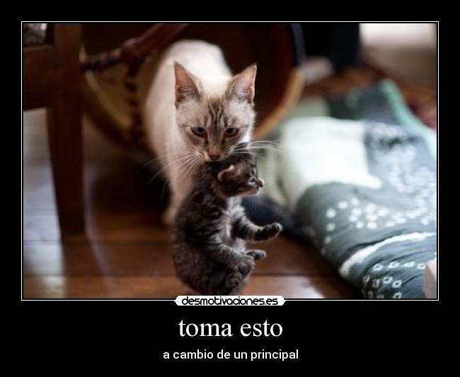 toma esto - 