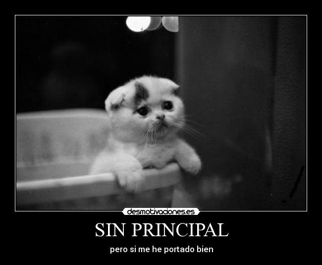 SIN PRINCIPAL -