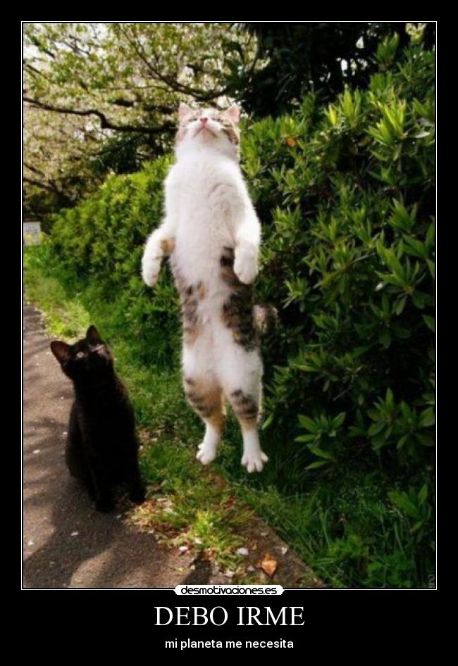 DEBO IRME - mi planeta me necesita