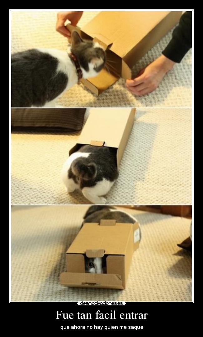 Fue tan facil entrar -
