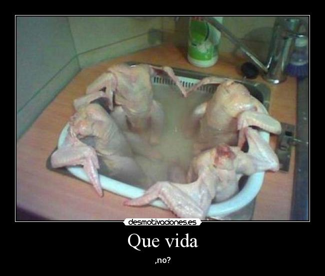 Que vida -