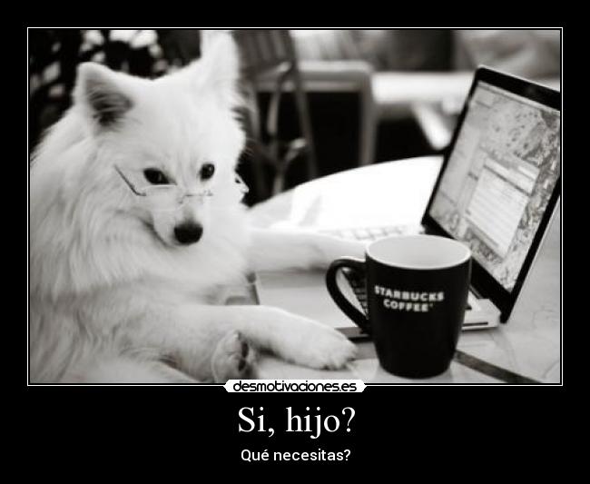 carteles perro gracioso mascotas amor humor jajaja desmotivaciones