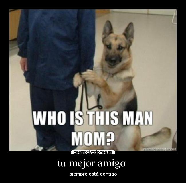 tu mejor amigo - siempre está contigo