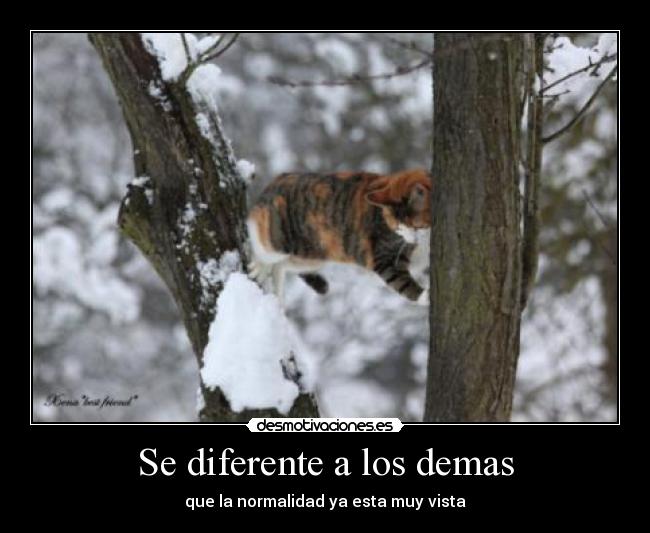 Se diferente a los demas -
