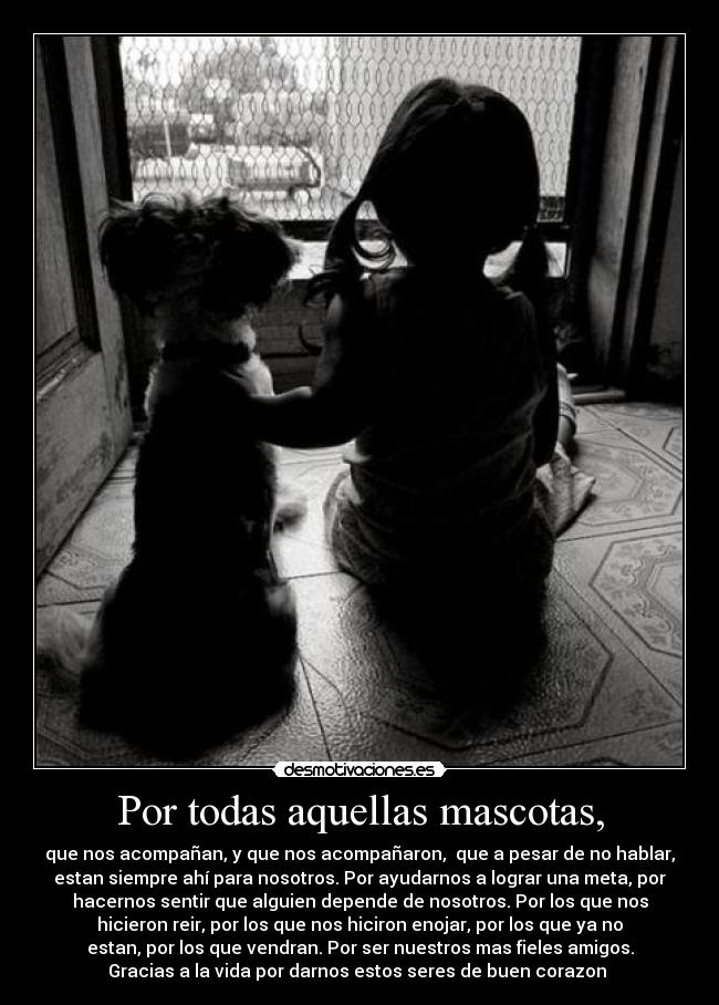 Por todas aquellas mascotas, - que nos acompañan, y que nos acompañaron,  que a pesar de no hablar,
estan siempre ahí para nosotros. Por ayudarnos a lograr una meta, por
hacernos sentir que alguien depende de nosotros. Por los que nos
hicieron reir, por los que nos hiciron enojar, por los que ya no
estan, por los que vendran. Por ser nuestros mas fieles amigos.
Gracias a la vida por darnos estos seres de buen corazon ♥